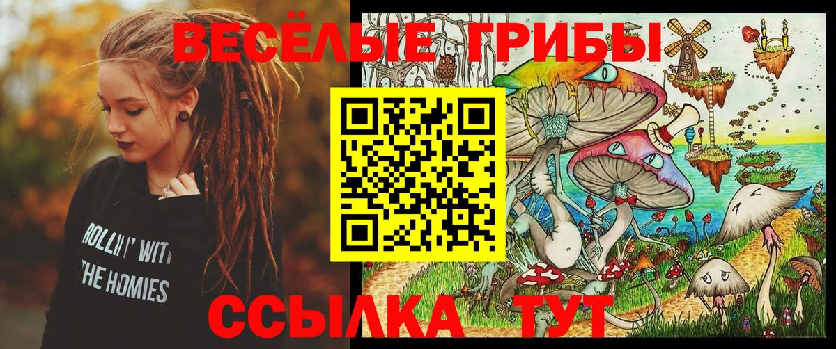 Псилоцибиновые грибы GOLDEN TEACHER  Псилоцибиновые грибы Psilocybine cubensis  Вход с VPN  Барнаул 