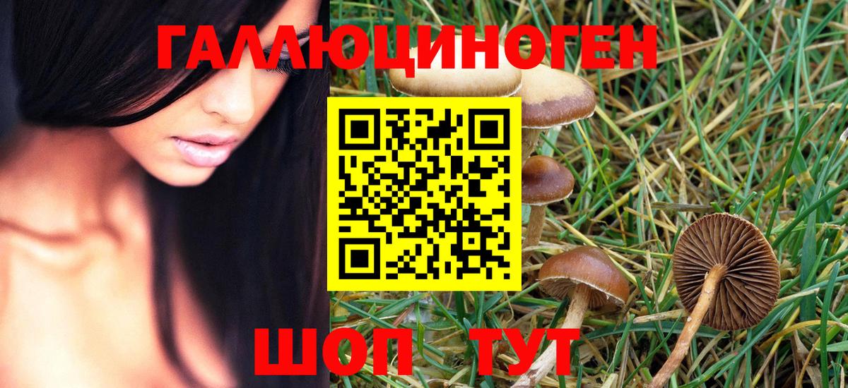 Галлюциногенные грибы Magic Shrooms Барнаул